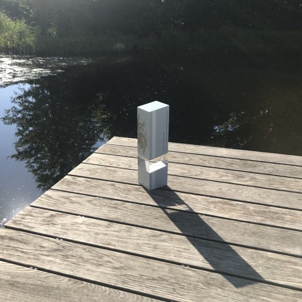 Der Goldene Hahn 2019 ist am-teich gelandet!