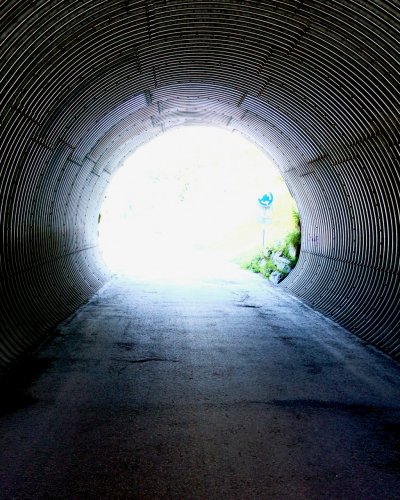 Onepage, Landingpage, Microsite oder Website?