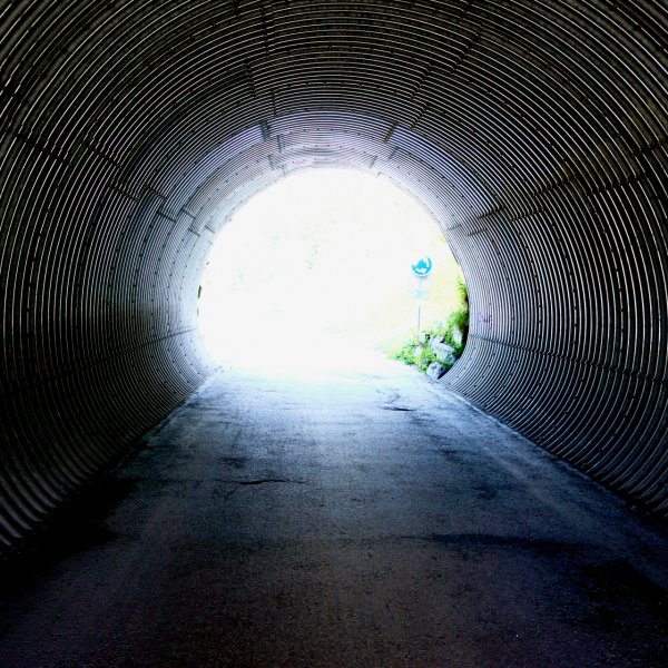 Onepage, Landingpage, Microsite oder Website?